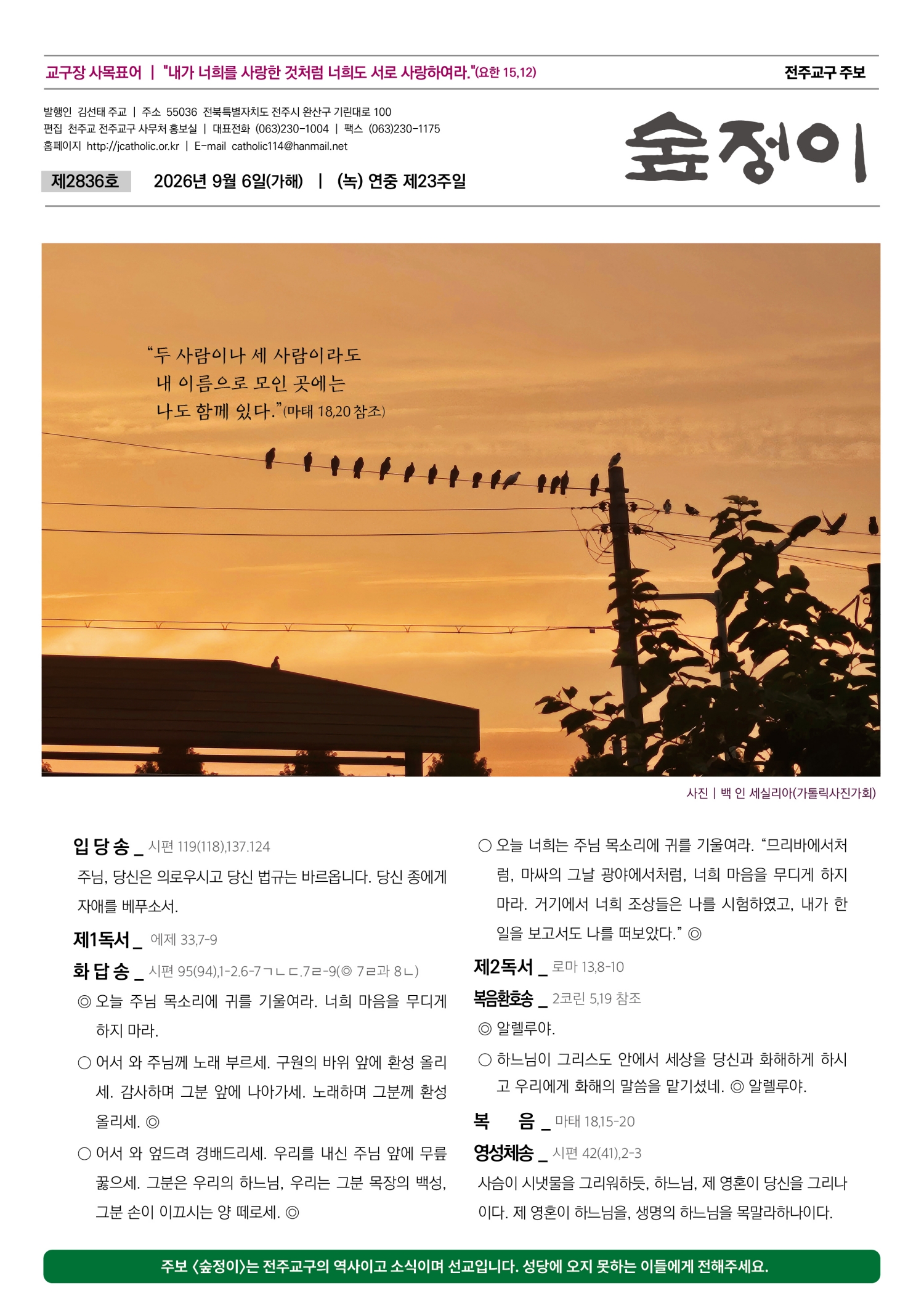 전주교구 주보 숲정이 제2836호 표지